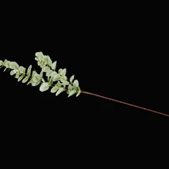 Action Kunstpflanzen & -Blumen<Excellent Flowers Künstlicher Eukalyptus auf Stiel