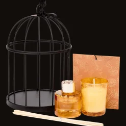 Action Kerzen<Geschenkset mit Duftkerze und Duftsticks