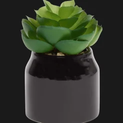 Action Kunstpflanzen & -Blumen<Home Accents Künstliche Sukkulente im Topf