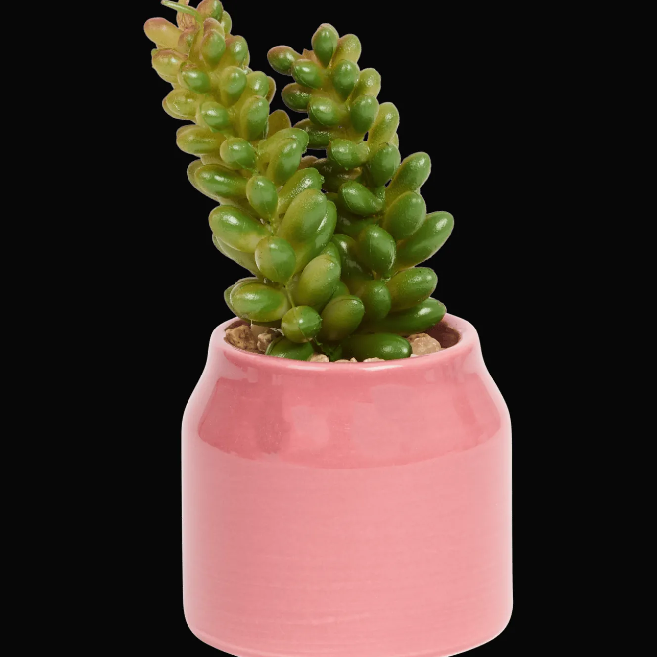 Action Kunstpflanzen & -Blumen<Home Accents Künstliche Sukkulente im Topf