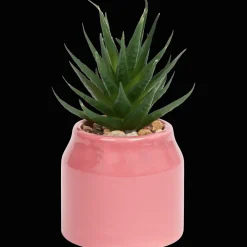Action Kunstpflanzen & -Blumen<Home Accents Künstliche Sukkulente im Topf