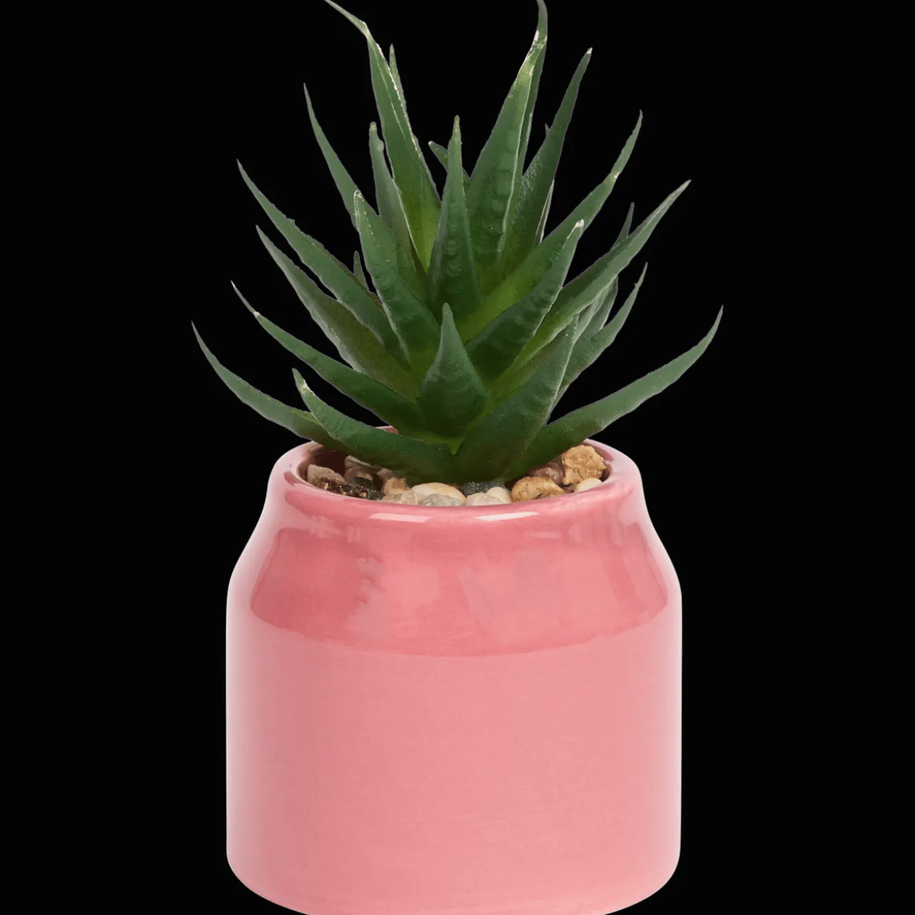 Action Kunstpflanzen & -Blumen<Home Accents Künstliche Sukkulente im Topf