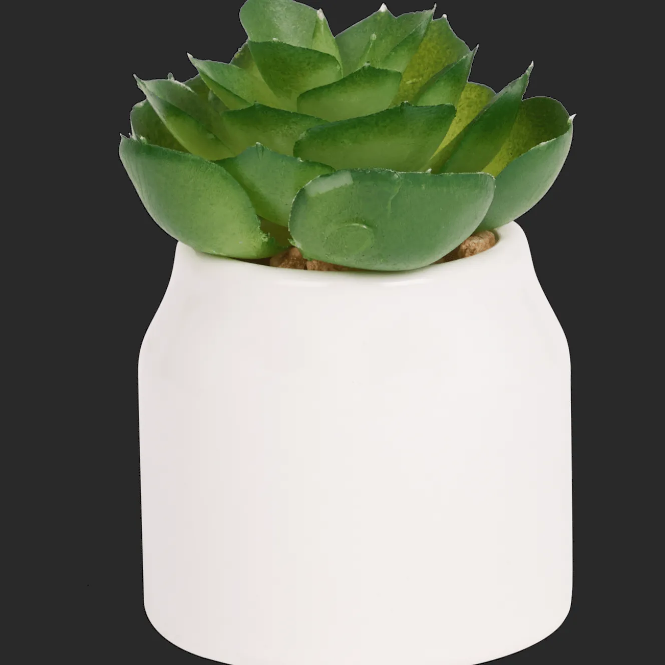 Action Kunstpflanzen & -Blumen<Home Accents Künstliche Sukkulente im Topf
