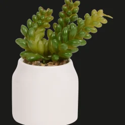 Action Kunstpflanzen & -Blumen<Home Accents Künstliche Sukkulente im Topf