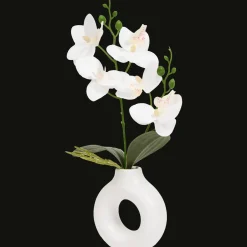 Action Kunstpflanzen & -Blumen<Home Accents Orchidee in Vase