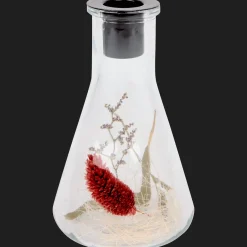 Action Kerzenhalter<Kerzenhalter mit Trockenblumen