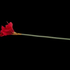 Action Kunstpflanzen & -Blumen<Künstliche Amaryllis mit Stiel