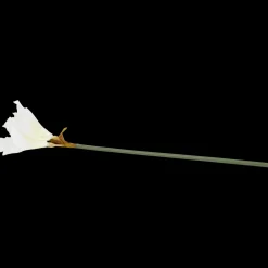 Action Kunstpflanzen & -Blumen<Künstliche Amaryllis mit Stiel