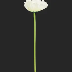 Action Kunstpflanzen & -Blumen<Künstliche Gerbera