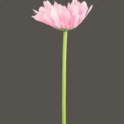 Action Kunstpflanzen & -Blumen<Künstliche Gerbera