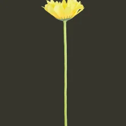 Action Kunstpflanzen & -Blumen<Künstliche Gerbera