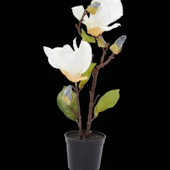 Action Kunstpflanzen & -Blumen<Künstliche Magnolie im Topf