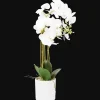 Action Kunstpflanzen & -Blumen<Künstliche Orchidee im Topf