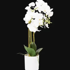 Action Kunstpflanzen & -Blumen<Künstliche Orchidee im Topf