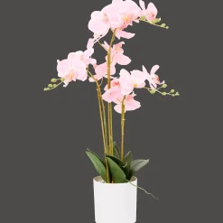 Action Kunstpflanzen & -Blumen<Künstliche Orchidee im Topf