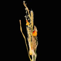 Action Kunstpflanzen & -Blumen<Künstliche Trockenblumen