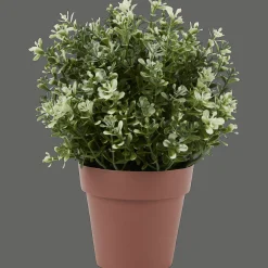 Action Kunstpflanzen & -Blumen<Kunst-Kräuterpflanze im Topf