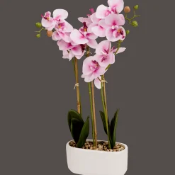 Action Kunstpflanzen & -Blumen<Kunstorchidee im Topf