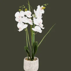 Action Kunstpflanzen & -Blumen<Kunstorchidee im Topf