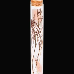 Action Wohnaccessoires<Röhrchen mit Trockenblumen