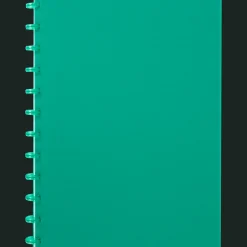 Action Papier & Notizbücher<Ringbuch DIN A4 A4