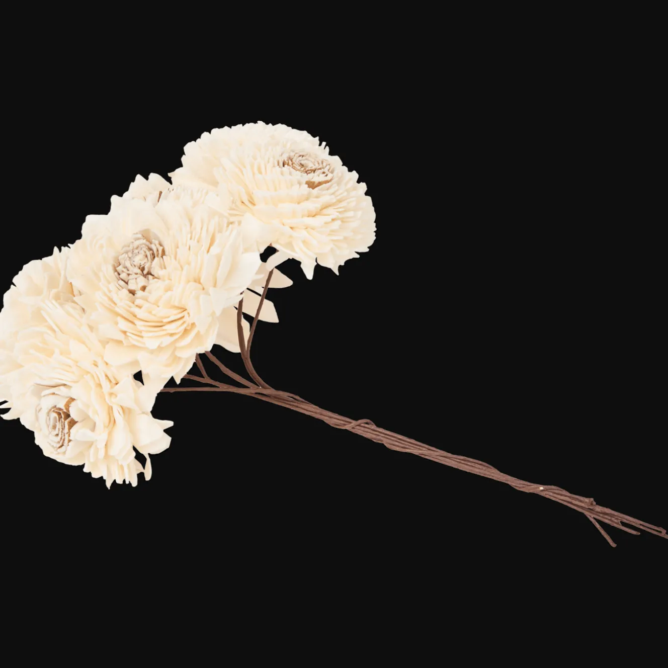Action Kunstpflanzen & -Blumen<Trockenblumen