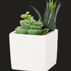 Action Kunstpflanzen & -Blumen<White label